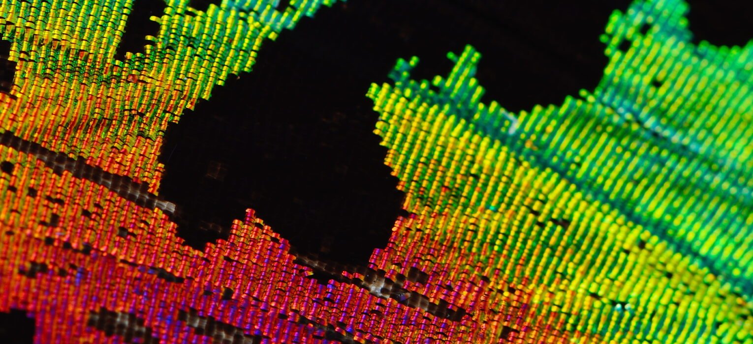 What is DTG Printing? Complete Guide to Direct-to-Garment