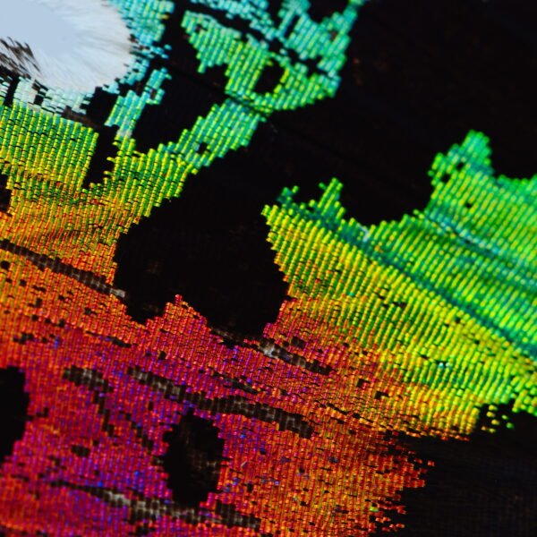 What is DTG Printing? Complete Guide to Direct-to-Garment